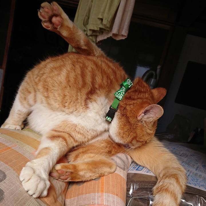 50c3f3ce 3b48 4b60 8de2 69ed0474b5bd 1581222077292