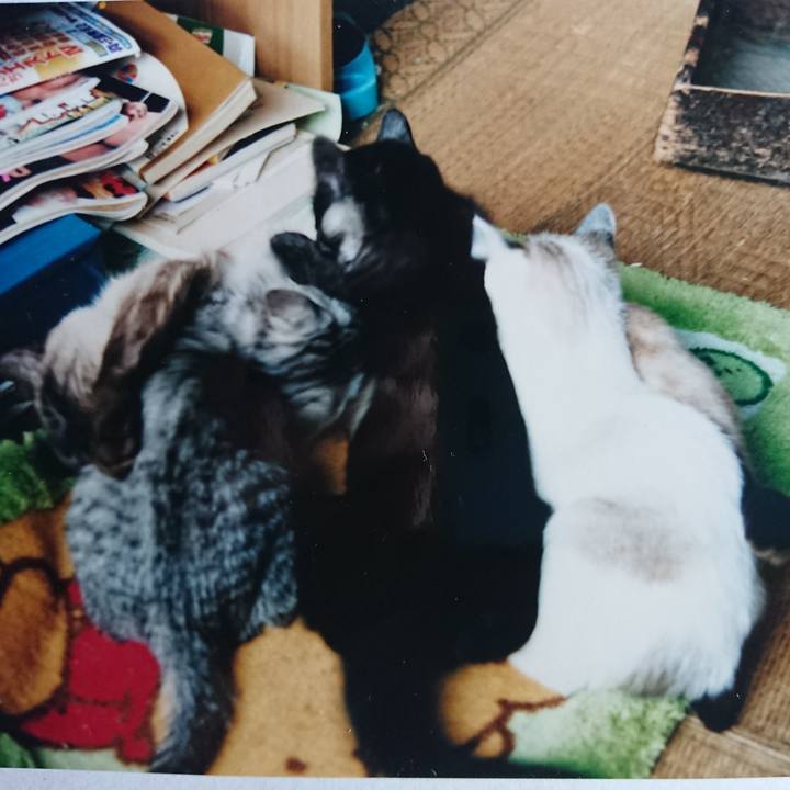 50c42b19 22d4 4010 8b45 0f8deb9c9dec 1600028094985