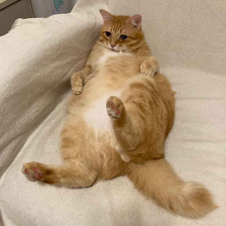 50c461f6 cc6f 4063 a80d 6a8344370fb3 1758027614722