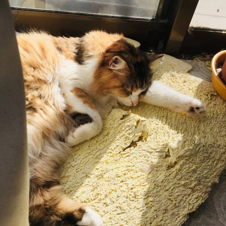 50c4716b 7cc2 4871 ad55 3b259c8bcfc4 1553754041692