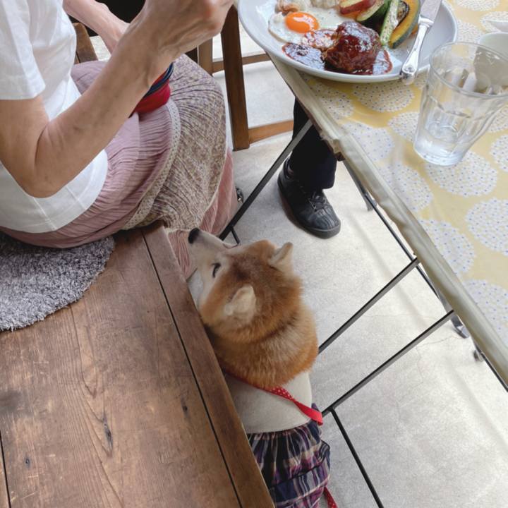 50c48a42 4e73 47c4 9dbe 6dd3b4380480 1626348411807