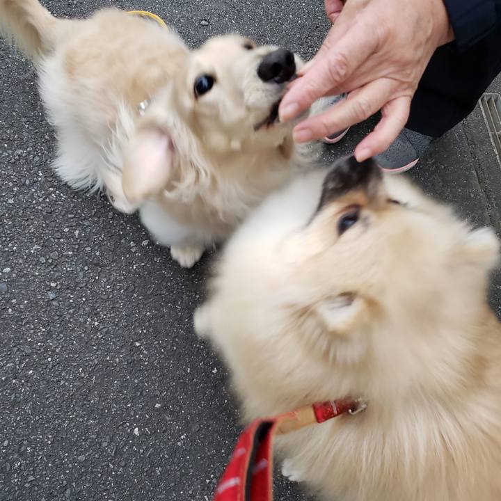 50c48f0f d9d0 4b95 8260 99597b3161a8 1635220102784