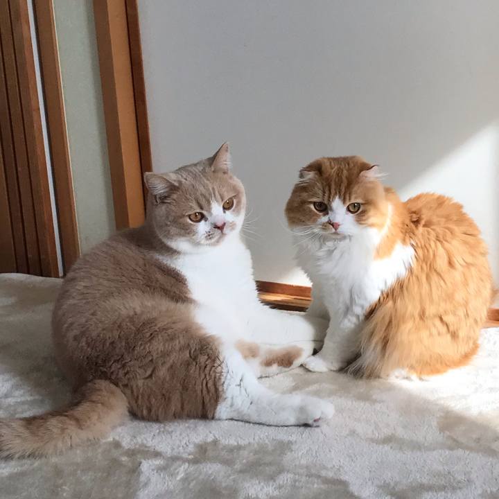 50c4ef9c 3d91 4ed3 961c 5d522d69e8b4 1550802054724