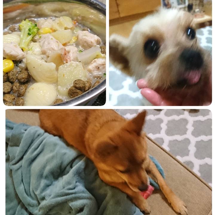 50c4f3b0 59ae 4488 9daa 4b41126dbd78 1547945671973