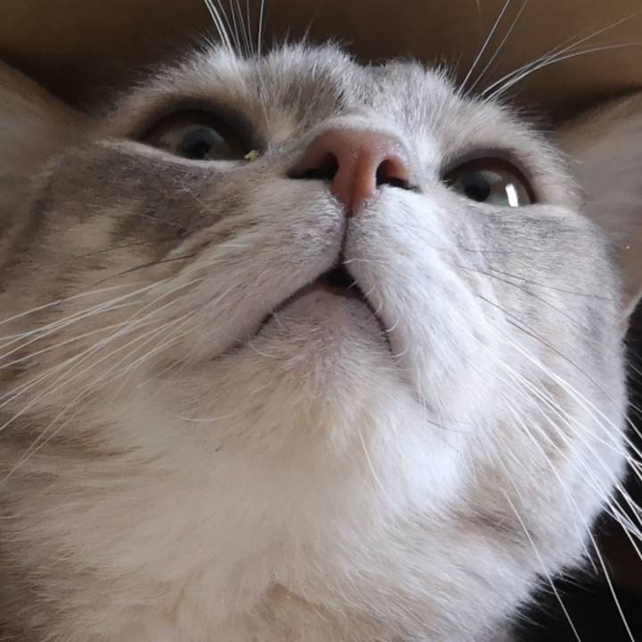 50c5013c cfc5 4379 b136 a6797ea4fdf1 1585665554673