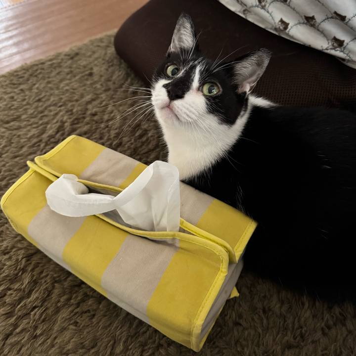 50c5300a acbd 4520 ab5d 483fb0da84c0 1757900784090