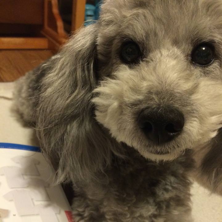 50c542d9 f2e1 46b9 b97a 471d80d26725 1767617209588