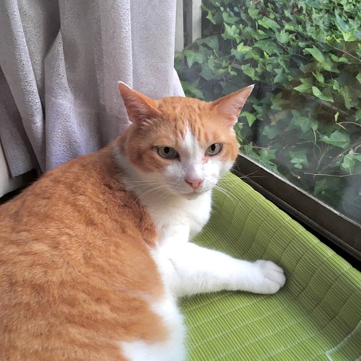 50c5646f 4bed 4fc3 adb7 3447155cbd26 1597050337578