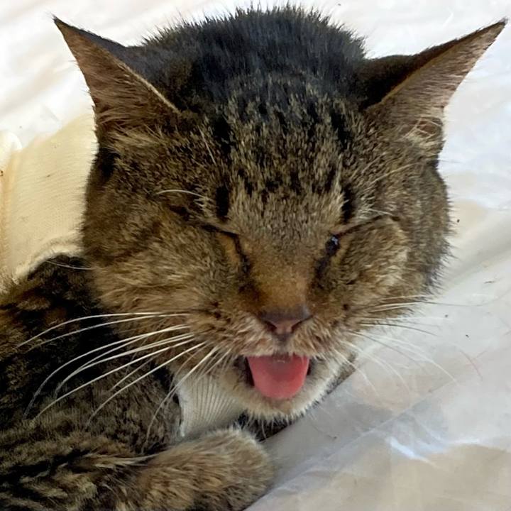 50c5831b 2f57 4702 9e47 6ebbd2954b3f 1688022827332