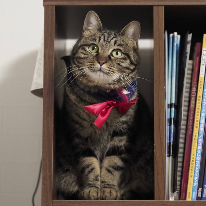 50c5b771 7292 459c a3e4 3c36cc8b76c3 1614520282872