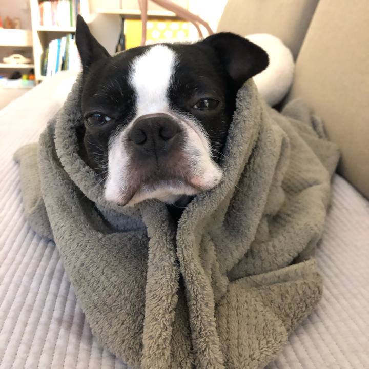 50c5c0d2 33ca 4e70 9792 60a38c9f6bd9 1616880096060