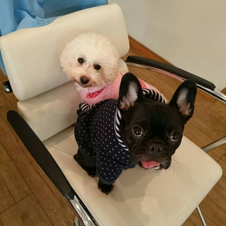 50c64edb 62a0 466a af3f 2491d3a8c5bb 1511061508151