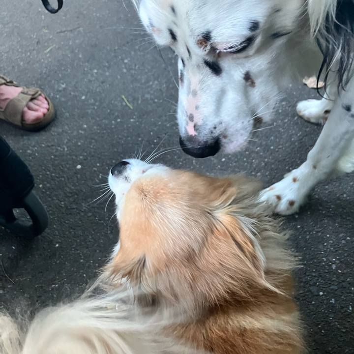 50c65379 062a 4567 8ce6 f80398f887ba 1752095259892