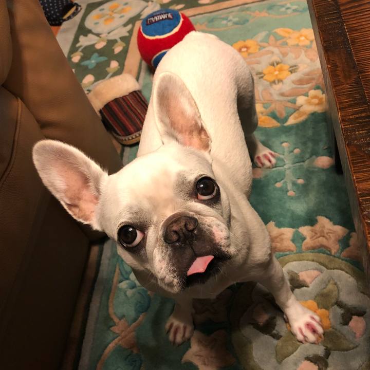 50c66475 8101 4b47 9e1f 7ae1facfff15 1540639362411