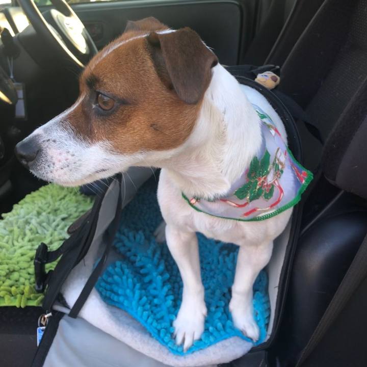 50c68547 853f 449b be58 68b272ff6a54 1575877663868