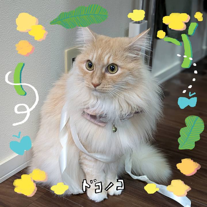 50c6f6bf 8e7c 44d2 9bae a069e5c97da1 1744258483808