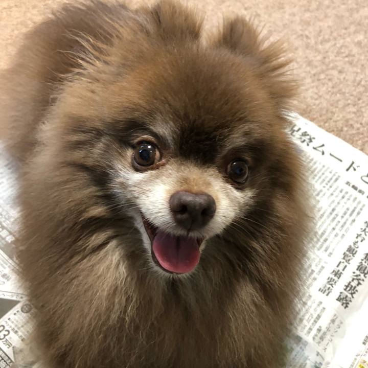 50c70ff7 62b1 4762 88fe 14ed6876bcb3 1626735277752