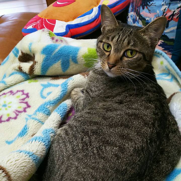 50c7259e f554 4274 b08a 2ad1d6b6a4a8 1528899943458