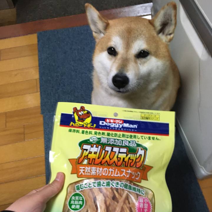 50c7301b ff7c 4622 a6e0 b25e8eae7ea8 1605047265665