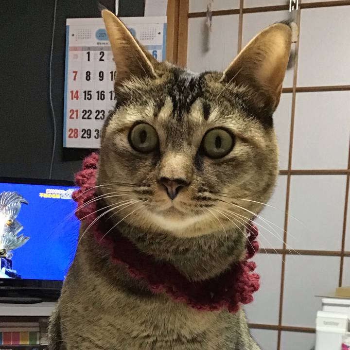 50c77b17 1736 4d2e 96a2 e02a38308843 1615626332143