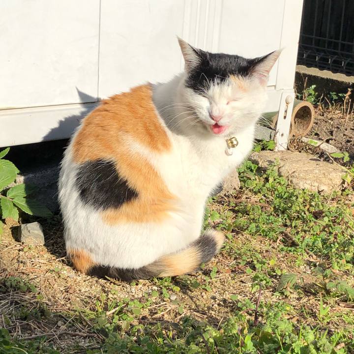 50c7cae9 383c 448b 9a12 d591c2bef393 1612769531471