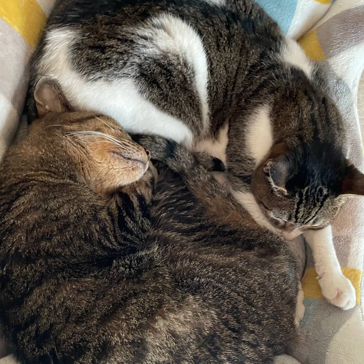 50c7f304 8814 4b21 9e2b 6708ab368afc 1629506531413