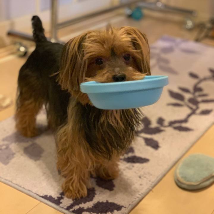 50c851e1 a02d 4134 a8ab bee8c8c4fd58 1541802688275