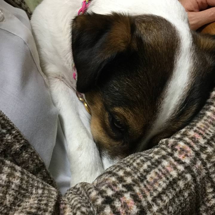 50c857a3 65c2 4340 a0c5 2122c9c0d869 1513424916617