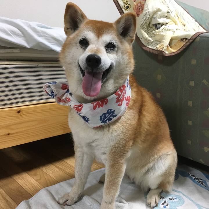 50c87e60 46f5 414c a125 114d7f05caa1 1533779595974