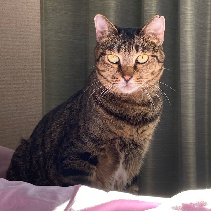 50c88bab 21ac 4a55 b374 723fede38a66 1635939476754