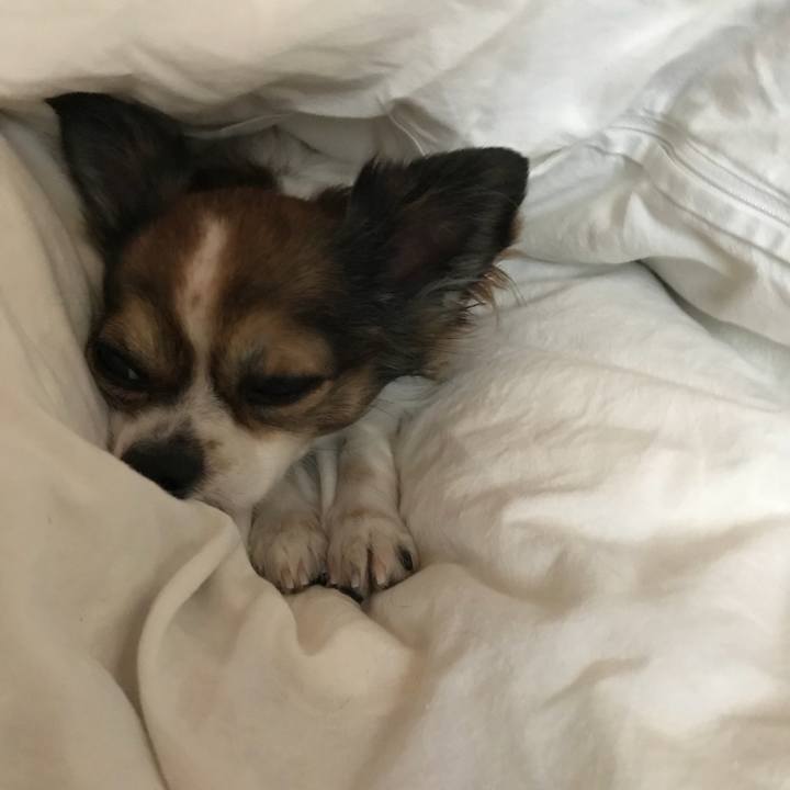 50c8a07d aa14 4c10 a6ad 75bb26521c81 1508025345726