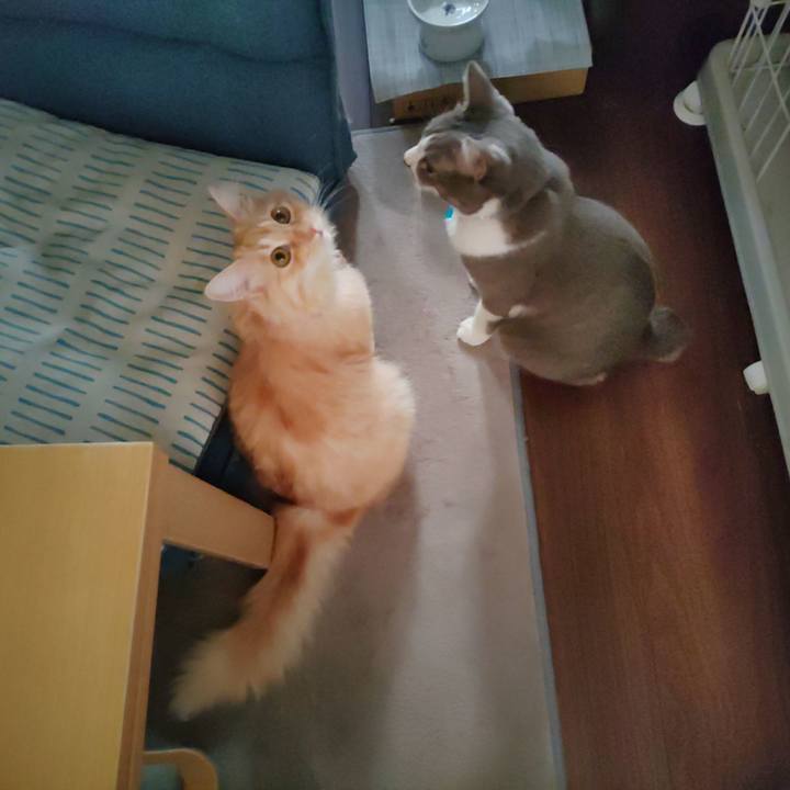 50c8b364 6bf4 4228 8b0e 9943edcc4b2e 1664232068796