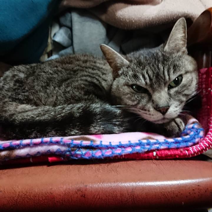 50c8cb24 fcf5 4748 a3ea 453f0df11cdc 1553464677747