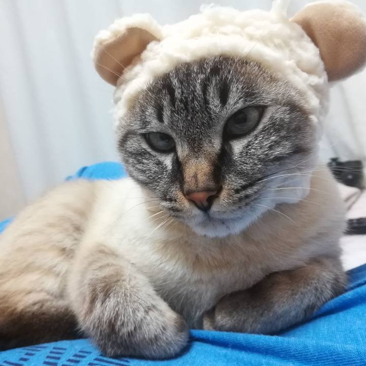 50c8d892 2ed0 450a a0ba 74ab364256e2 1514899476225