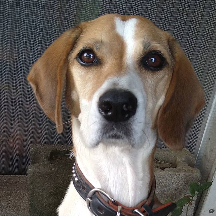 50c8fa03 b20c 4081 a705 4816633bafd0 1664856066736