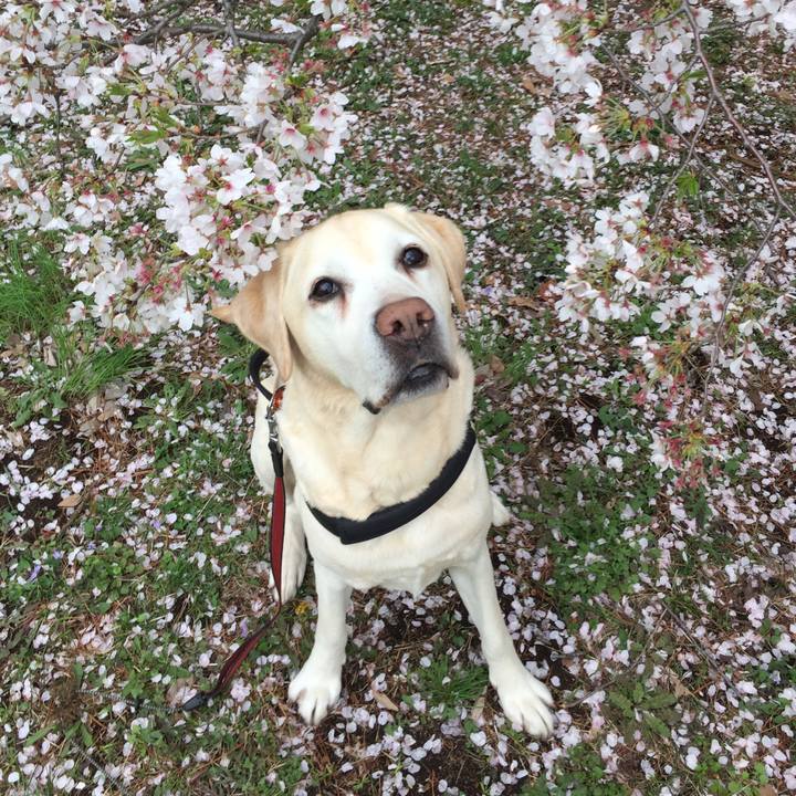 50c8fd57 d236 4520 a8dc 1208f263dd2b 1585650921977