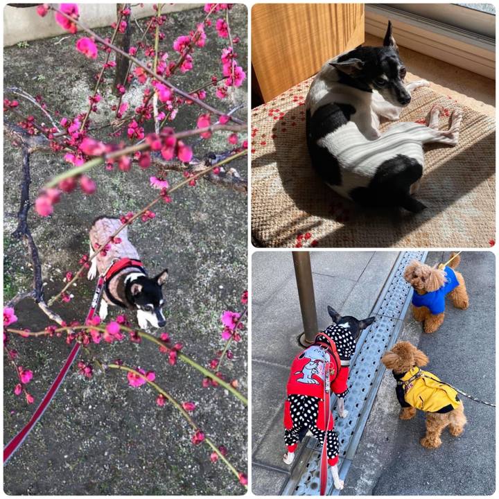 50c90326 b17e 4005 a8cd d1b859a24c58 1675980531383