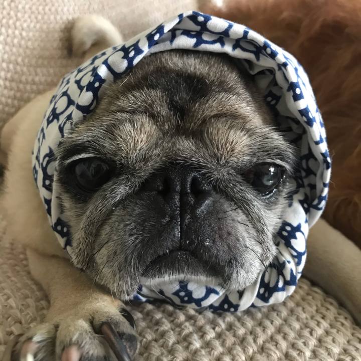 50c9473d b448 40ef bbec 7c6935bcad2e 1596925465013