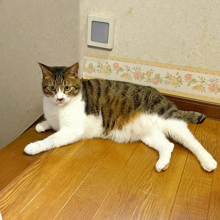 50c97f1c d80f 47d8 9d21 642a557ded8f 1752101393534