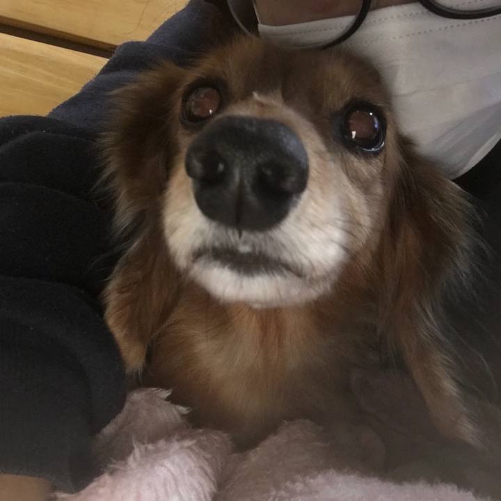 50ca09aa 4505 4c19 9f6a f236fc0593c1 1541250430718