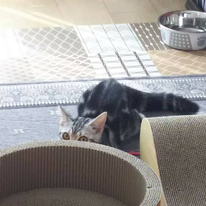 50ca31f2 b477 46c7 84f1 f1c8f0b2ab4b 1537713837450