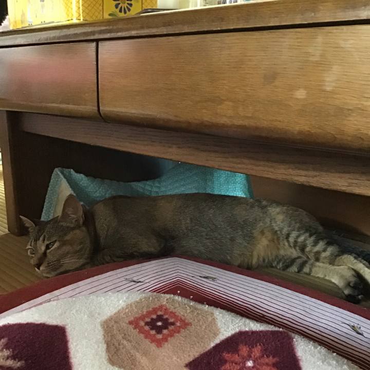 50ca41c0 12f1 495b 9425 f6cdef231435 1596440119152