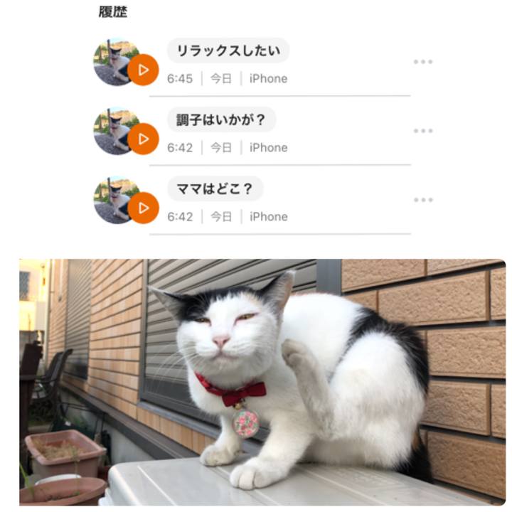 50ca5394 3529 4412 9bb1 8259b0836e1d 1633903205950