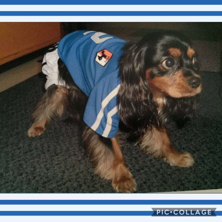 50ca54a5 077c 4598 9741 9106efe22952 1570522120384