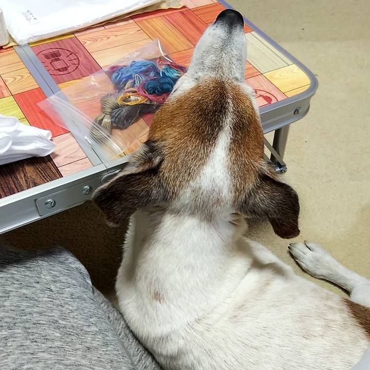 50ca882e 6f37 407b 8acb 4faaf99dac4b 1555938853794