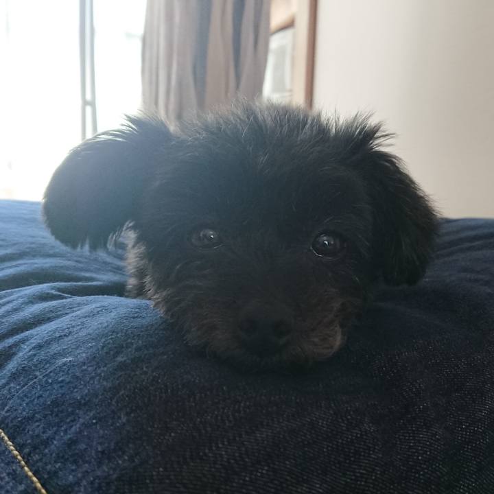 50ca90c0 dc68 43b1 8486 401d8a6b2aa1 1525001361259