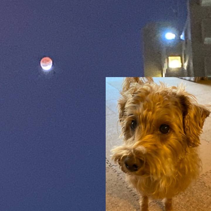 50ca9c17 3372 491e 89c6 39bf93d5ae33 1637474111579