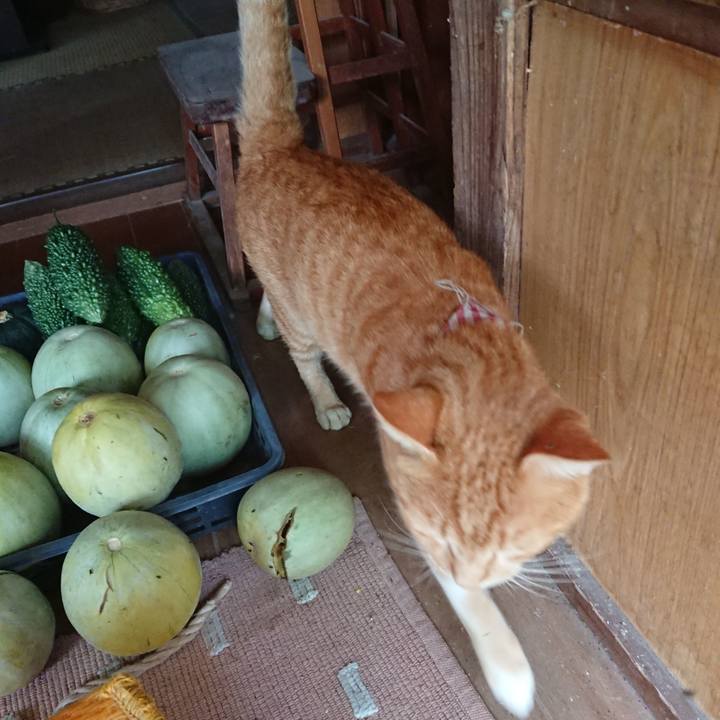 50cabdcd 66b0 4167 99d2 169b45efb78d 1566633379841