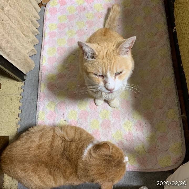 50cada37 8c0a 4e7c 9ef0 ed785906a90c 1582204686728