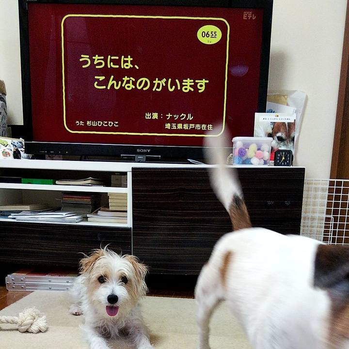 50cae991 a942 46ed b7e2 212a9f4b8f6b 1564092668703